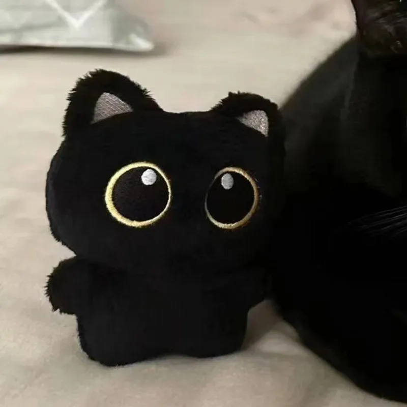 Photography Rules - Cute plush toy of a black